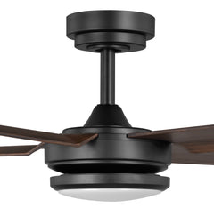 Indoor/Outdoor fan with LED Light Kit | 56”, 6 Speeds, Remote Control | 800 Lumens | 3 CCT Selectable | Brushed Nickel
