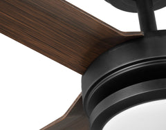 Indoor/Outdoor fan with LED Light Kit | 56”, 6 Speeds, Remote Control | 800 Lumens | 3 CCT Selectable | Brushed Nickel